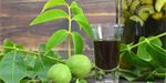Ze zelených ořechů si připravte vynikající svatojánský likér! 